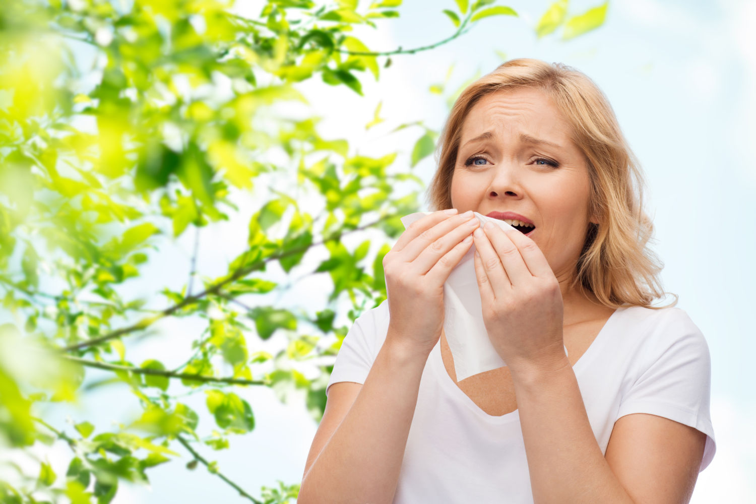 Hayfever Injection Oxford | Hay Fever Treatments